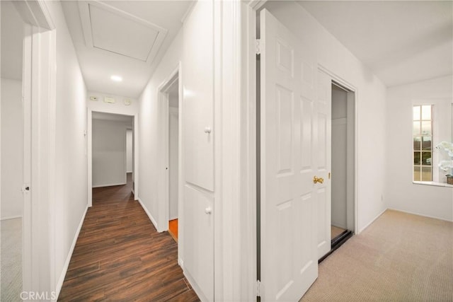 corridor featuring dark hardwood / wood-style floors