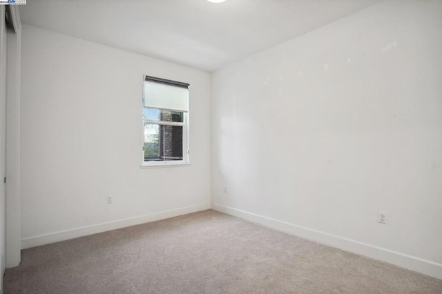 empty room featuring carpet