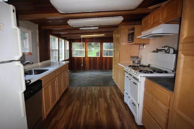 kitchen featuring dark hardwood / wood-style flooring, sink, dishwasher, and white refrigerator