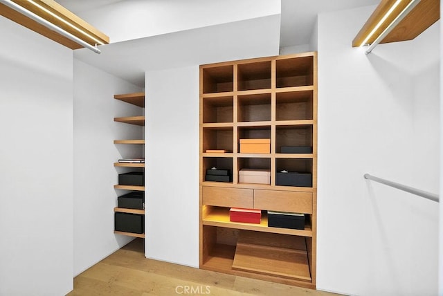 walk in closet with light hardwood / wood-style floors