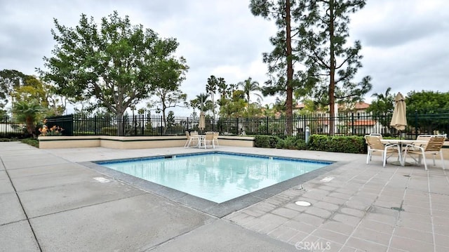 view of swimming pool featuring a patio area