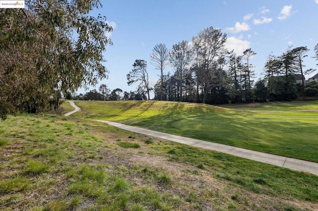 view of community with a lawn