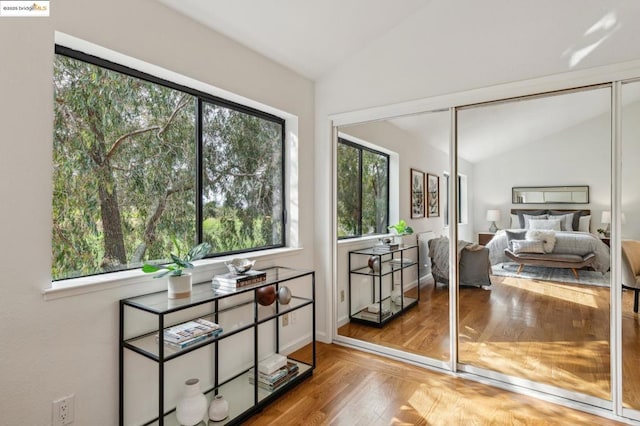 interior space with multiple windows, lofted ceiling, and a closet