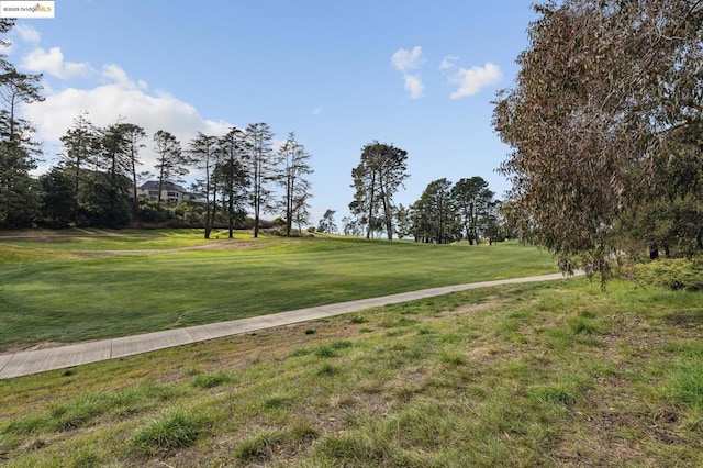 view of property's community featuring a lawn