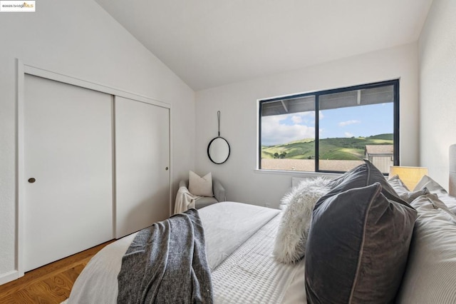 bedroom with wood-type flooring, vaulted ceiling, and a closet