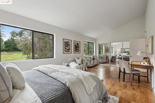 bedroom featuring hardwood / wood-style flooring, vaulted ceiling, and a closet