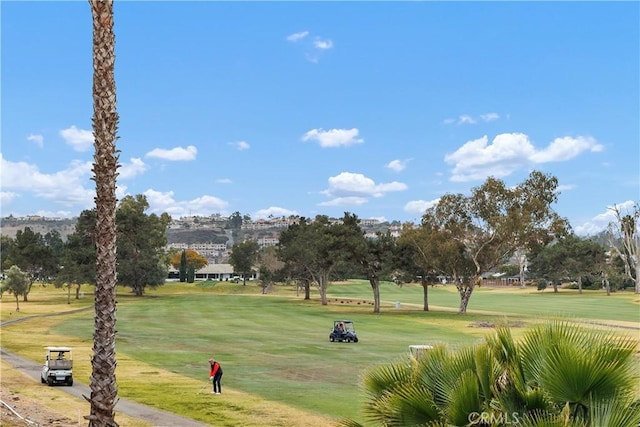 surrounding community featuring a yard