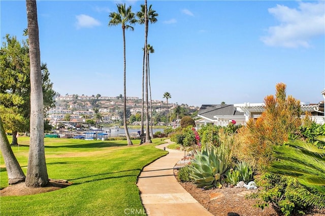 view of property's community with a yard