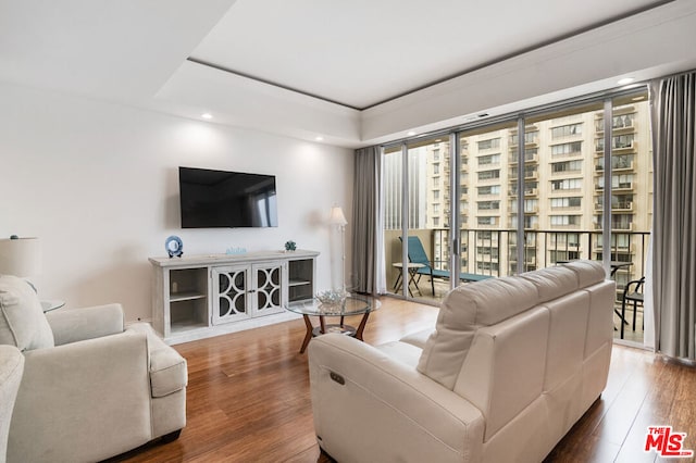 living room with dark hardwood / wood-style flooring