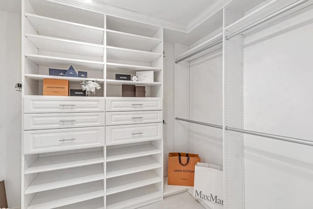 view of walk in closet