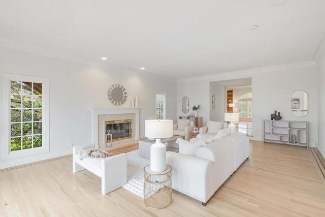 living room featuring ornamental molding, a premium fireplace, and light hardwood / wood-style floors