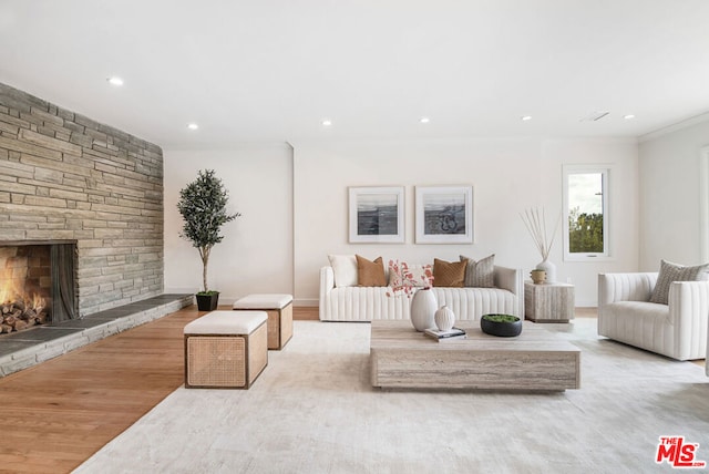 living room with a stone fireplace and light hardwood / wood-style floors