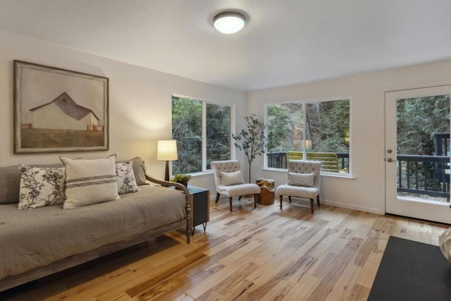 living room with a healthy amount of sunlight and light hardwood / wood-style floors