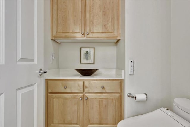 bathroom with vanity and toilet