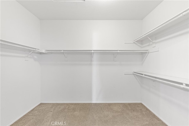 spacious closet with light carpet