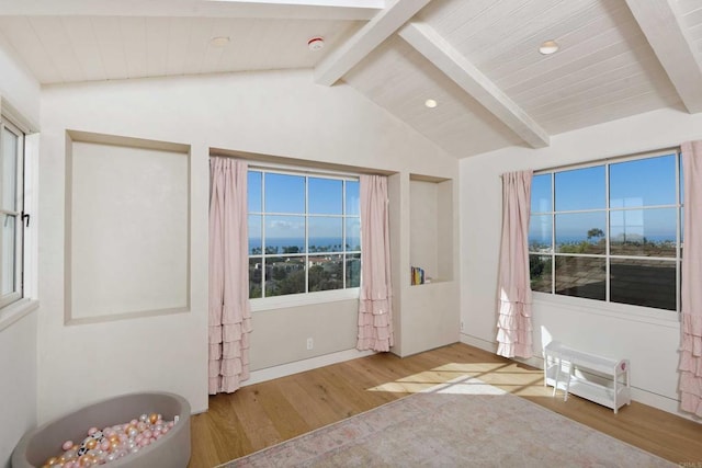 interior space featuring multiple windows, vaulted ceiling with beams, and light hardwood / wood-style flooring