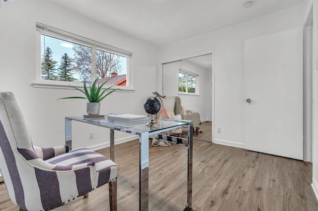 office space with light hardwood / wood-style flooring