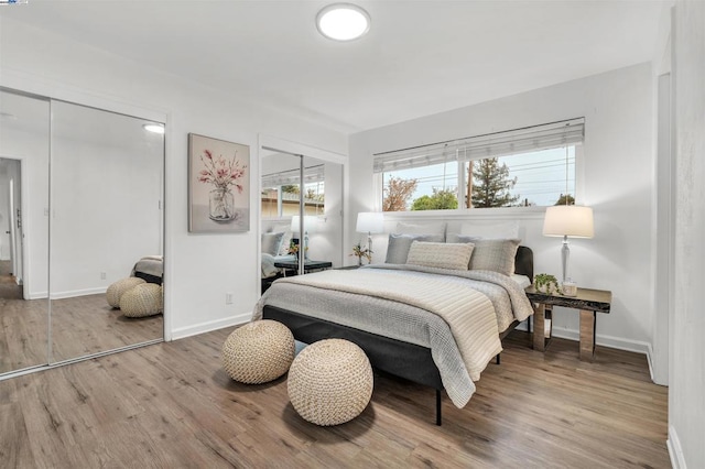 bedroom with wood-type flooring and two closets