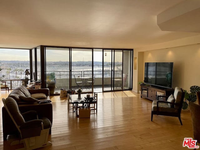 living room featuring floor to ceiling windows, a wealth of natural light, and light hardwood / wood-style floors