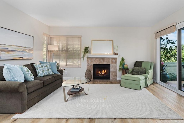 living room featuring wood-type flooring and a fireplace