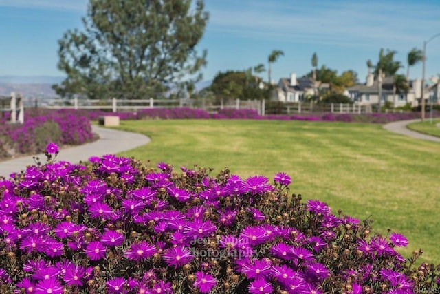 view of community featuring a yard