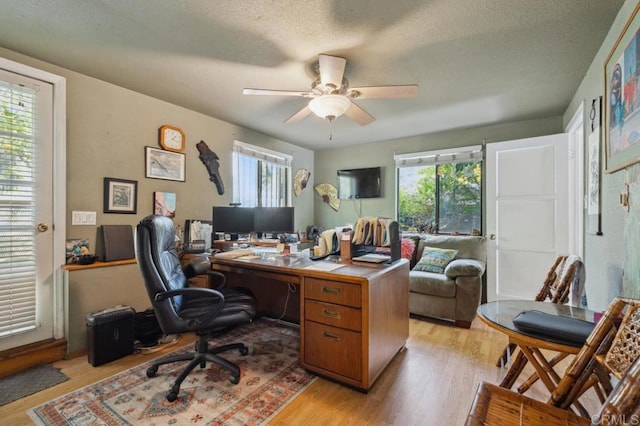 office with ceiling fan, plenty of natural light, a textured ceiling, and light wood-type flooring