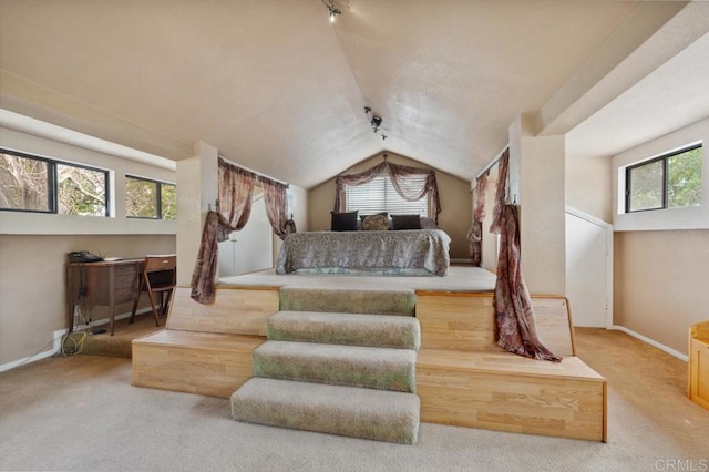 bedroom featuring lofted ceiling, track lighting, and carpet