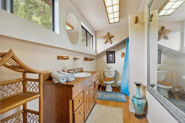 bathroom featuring vanity, toilet, and hardwood / wood-style floors