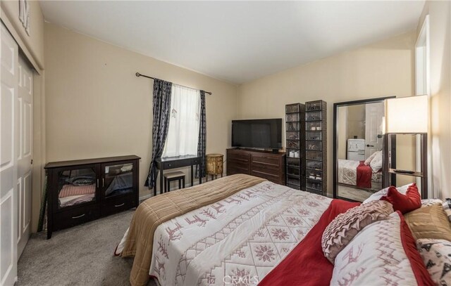 bedroom featuring carpet and a closet