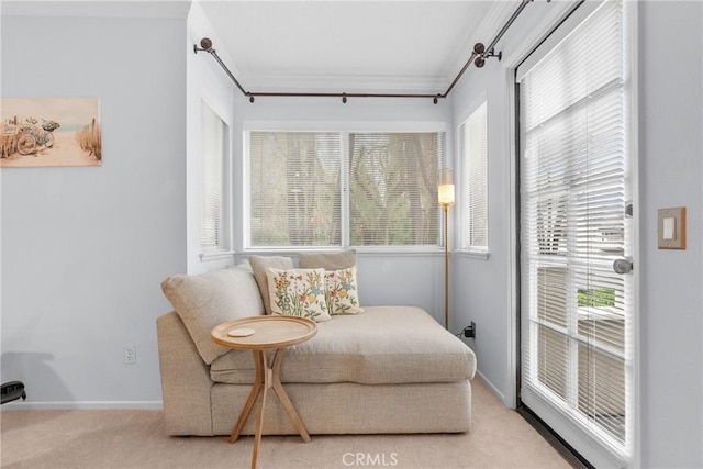 sitting room with light colored carpet