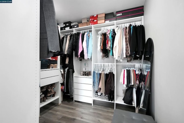 walk in closet featuring hardwood / wood-style flooring