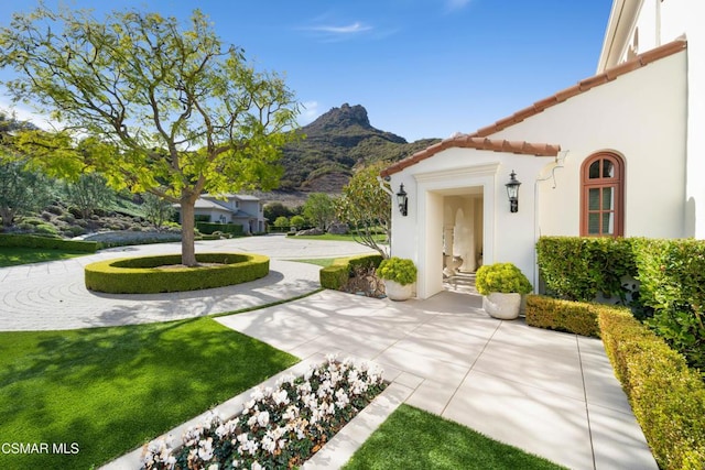 view of yard with a patio and a mountain view