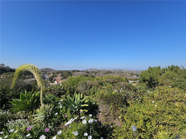 property view of mountains