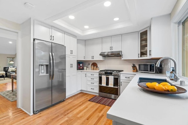 kitchen with sink, light hardwood / wood-style flooring, appliances with stainless steel finishes, white cabinetry, and a tray ceiling