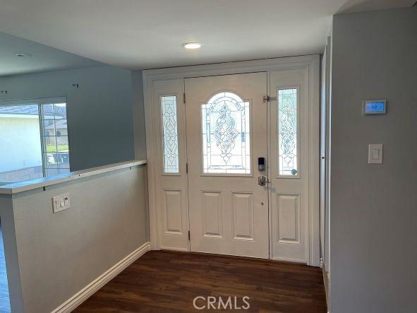 foyer featuring dark wood-type flooring