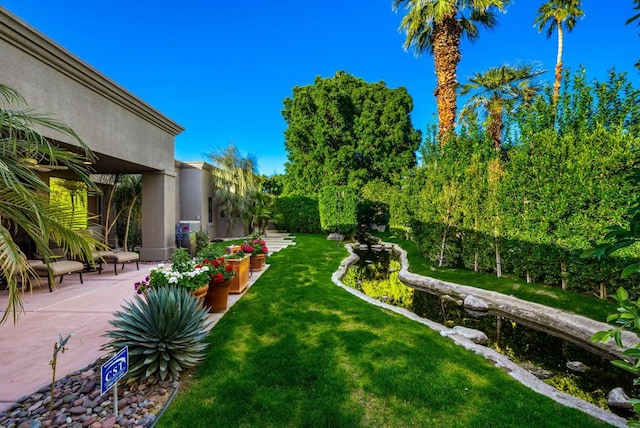 view of yard with a patio area