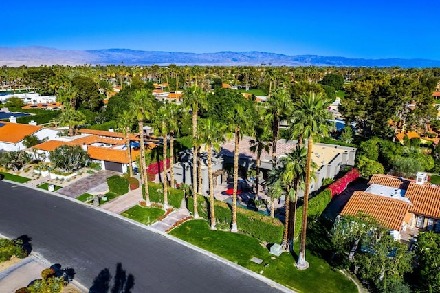 birds eye view of property featuring a mountain view