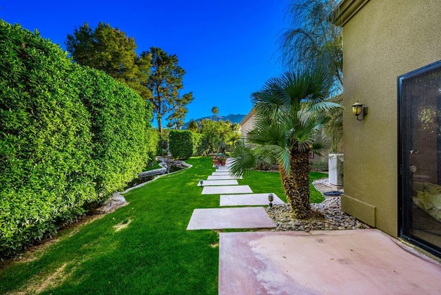 view of yard with a patio