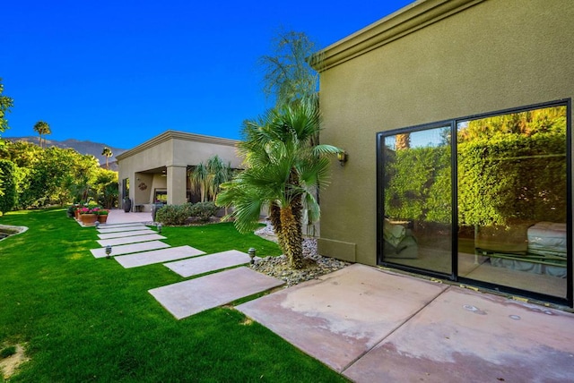 view of yard with a patio area