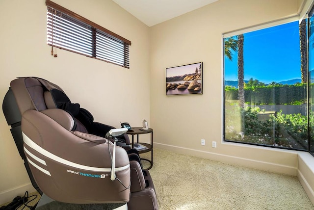 sitting room featuring carpet floors