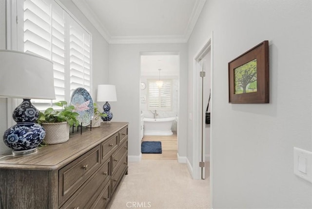 hall featuring ornamental molding and light carpet