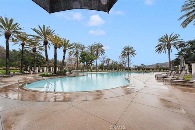 view of swimming pool featuring a patio area