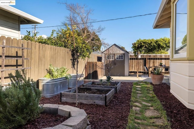 view of yard featuring a patio and a storage unit