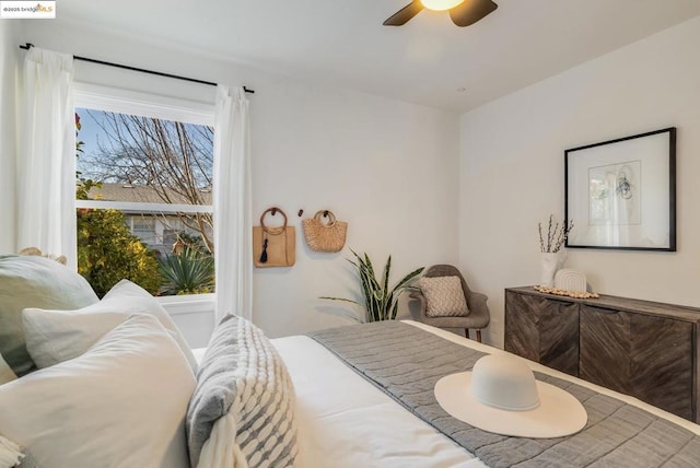 bedroom with ceiling fan