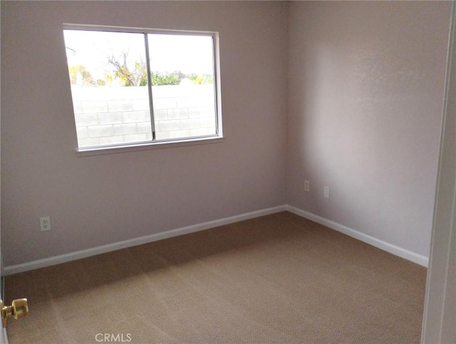 empty room featuring carpet floors