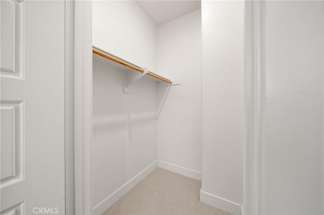 spacious closet featuring light carpet