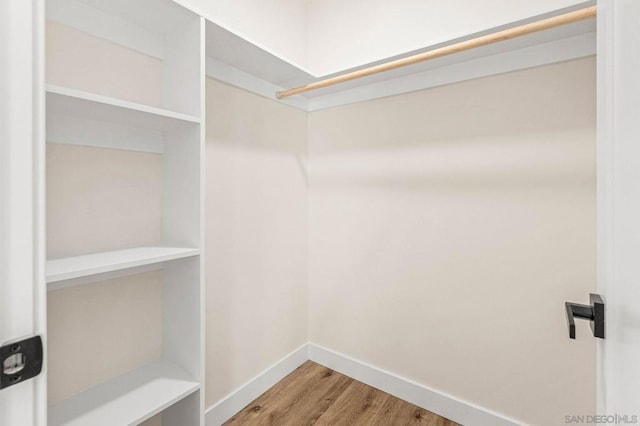 spacious closet with wood-type flooring