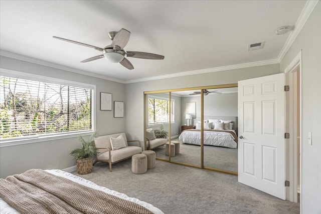 bedroom with ornamental molding, carpet, ceiling fan, and a closet