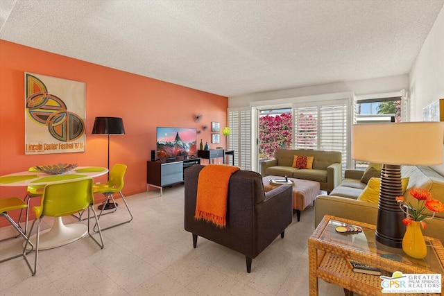 living room with a textured ceiling