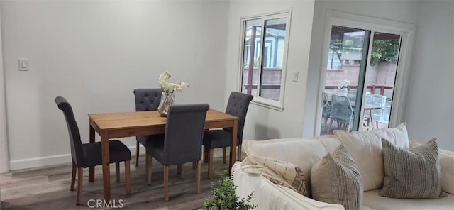 dining room featuring wood-type flooring